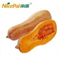 pumpkin powder - product's photo