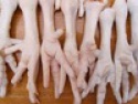 grade a halal frozen chicken feet, paws, breast, whole chicken, legs and wings - product's photo