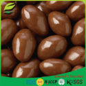 artificial chocolate almond milk compound chocolate - product's photo